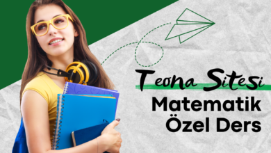 teona-matematik-ozel-ders